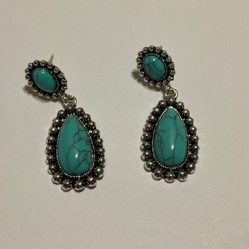 Beautiful Southwestern Earrings NWT  